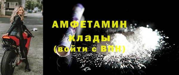 сатива Горняк
