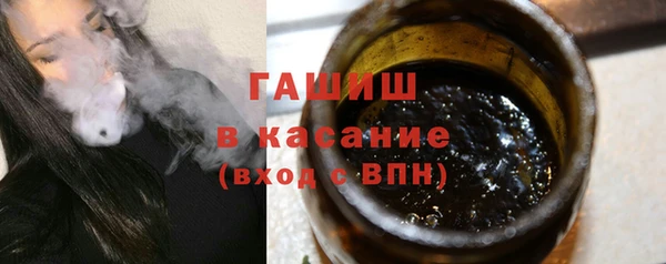 сатива Горняк