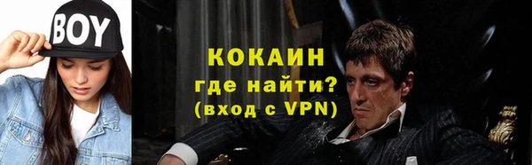 сатива Горняк