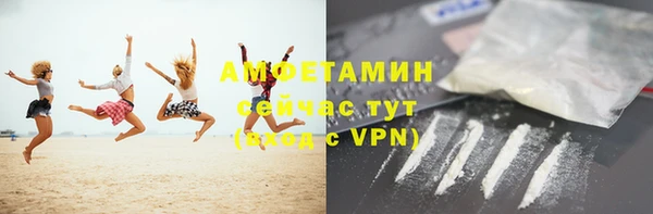 сатива Горняк