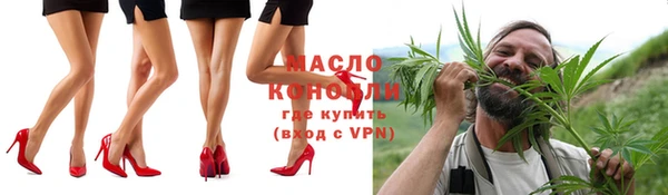 сатива Горняк