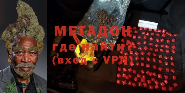 сатива Горняк
