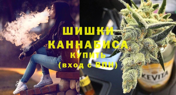 сатива Горняк