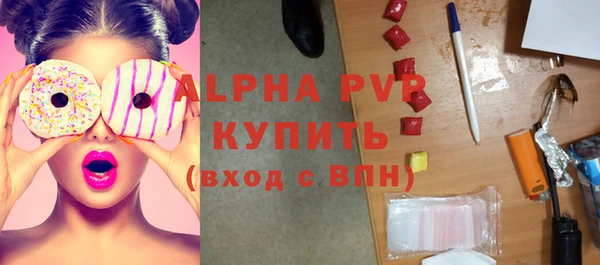 сатива Горняк