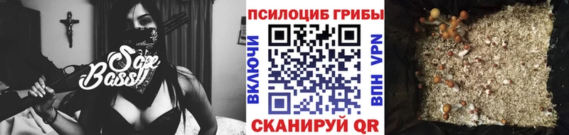 Купить  Лысьва  Псилоцибиновые грибы мухоморы 